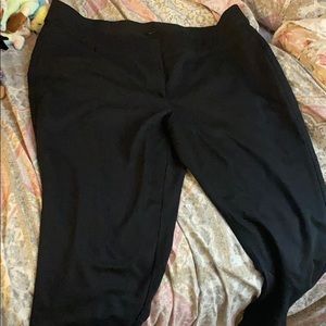 Lane Bryant dress pants